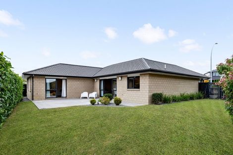 Photo of property in 8 The Link, Flagstaff, Hamilton, 3210