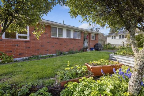 Photo of property in 4 Mangawhero Terrace, Ohakune, 4625