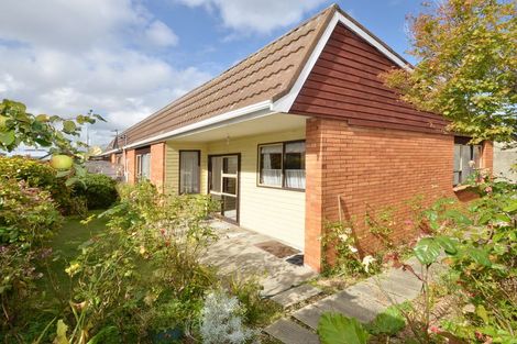 Photo of property in 50c David Street, Caversham, Dunedin, 9012