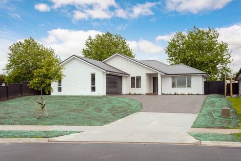 Photo of property in 19 Hinerangi Crescent, Matamata, 3400