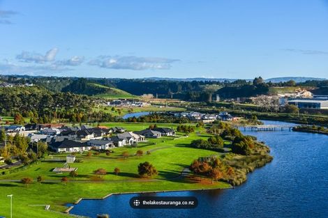 Photo of property in 217 Te Ranga Memorial Drive, Pyes Pa, Tauranga, 3112