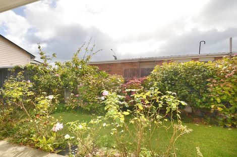 Photo of property in 50c David Street, Caversham, Dunedin, 9012