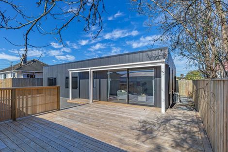 Photo of property in 45a Winchester Street, Levin, 5510