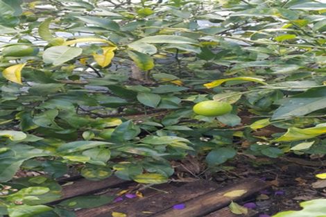 Photo of property in 9 Fowlers Avenue, Frankton, Hamilton, 3204