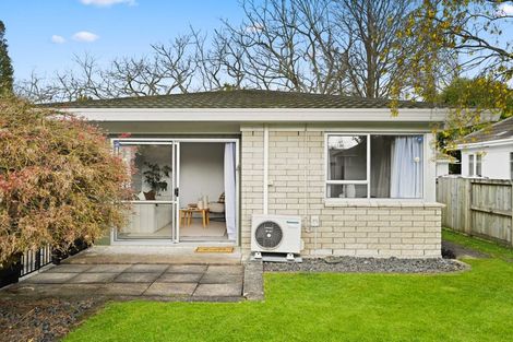 Photo of property in 49 Rimu Street, Maeroa, Hamilton, 3200