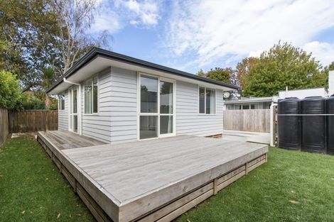 Photo of property in 11 Wilson Street, Hamilton East, Hamilton, 3216