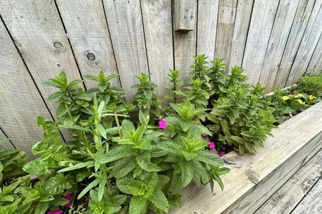 Photo of property in 4a View Road, Hikurangi, 0114