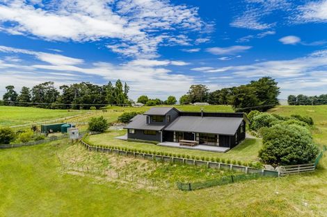 Photo of property in 834 Whakapirau Road, Raukawa, Hastings, 4174