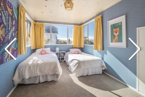 Photo of property in 17 Leven Street, Roslyn, Dunedin, 9010