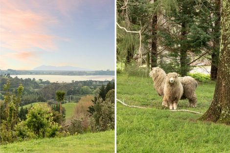 Photo of property in 230b Waipapa Block Road, Whakamarama, Tauranga, 3180