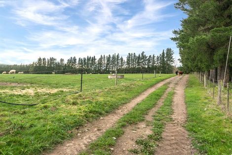 Photo of property in 1291 Domett Road, Domett, Cheviot, 7382