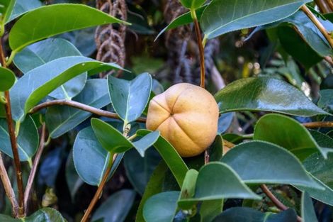 Photo of property in 236 Moetapu Bay Road, Moetapu Bay, Picton, 7282