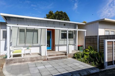 Photo of property in 133 Vivian Street, New Plymouth, 4310