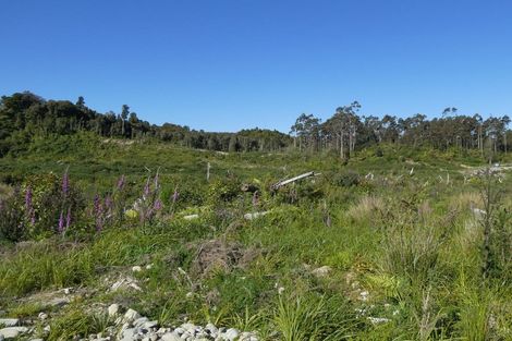 Photo of property in 756a Rutherglen Road, Marsden, Greymouth, 7872
