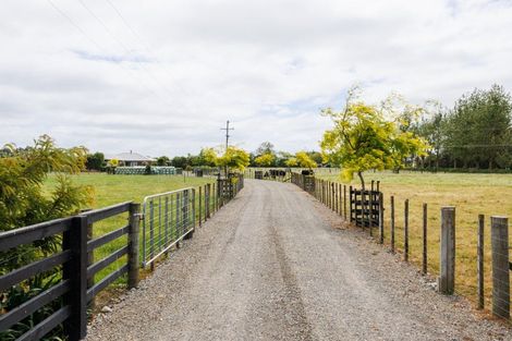 Photo of property in 271 Reid Line East, Aorangi, Feilding, 4775