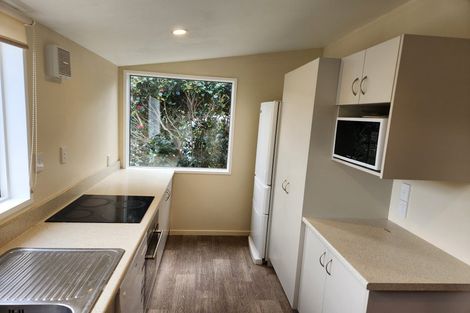 Photo of property in 8a Balmoral Street, Opoho, Dunedin, 9010