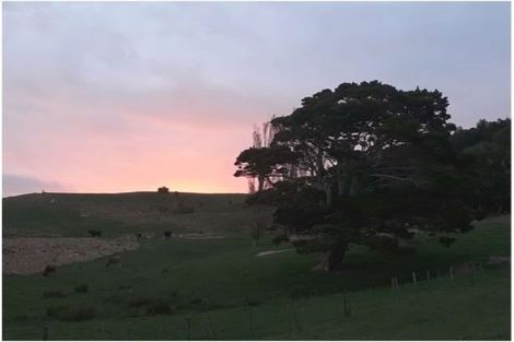 Photo of property in 17 Harding Road, Wellsford, 0972