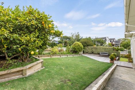 Photo of property in 13 Chambers Street, Havelock North, 4130