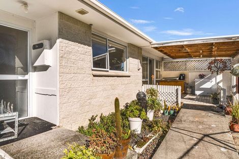 Photo of property in 15 Downes Avenue, Springvale, Whanganui, 4501