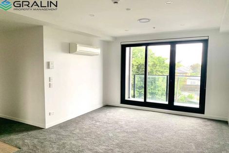 Photo of property in 219/428 Dominion Road, Mount Eden, Auckland, 1024