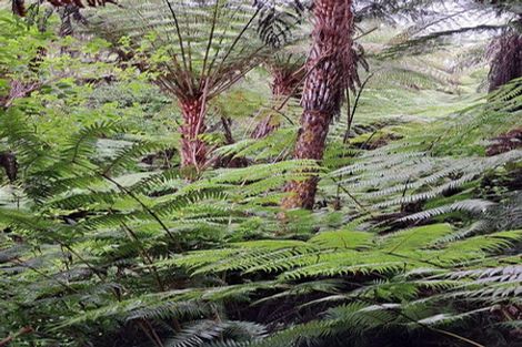 Photo of property in 30 Turvey Road, Mangonui, 0420