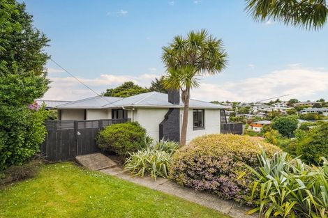 Photo of property in 250 Helensburgh Road, Helensburgh, Dunedin, 9010