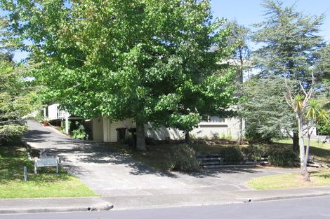 Photo of property in 20 Marydale Drive, Mount Roskill, Auckland, 1041