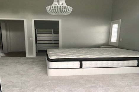 Photo of property in 81 Haigh Access Road, Redvale, Albany, 0794