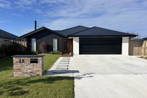 Photo of property in 12 Borland Street, Woodend, 7610