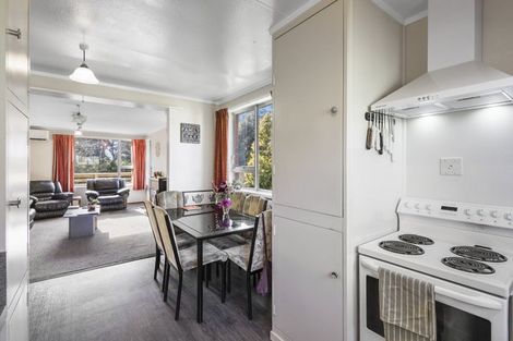 Photo of property in 4 Mangawhero Terrace, Ohakune, 4625