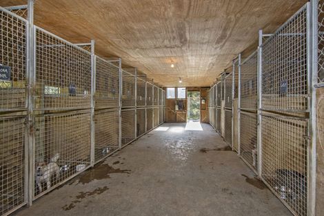 Photo of property in 125 Baldrock Road, Brynderwyn, Maungaturoto, 0587