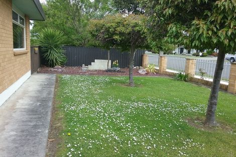 Photo of property in 4b Gow Street, Waipukurau, 4200