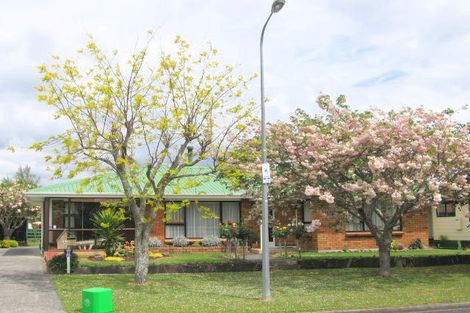 Photo of property in 2 Alexander Street, Katikati, 3129