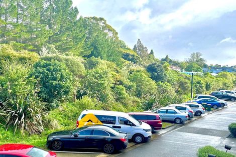 Photo of property in 14 Ti Kouka Lane, Sandringham, Auckland, 1025