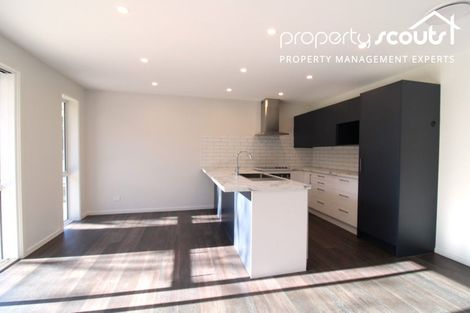 Photo of property in 42 Glenelg Street, Bradford, Dunedin, 9011