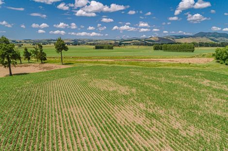 Photo of property in 247 Mahaki Road, Dyerville, Martinborough, 5781