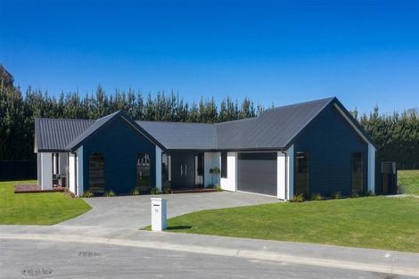 Photo of property in 16 Kelburn Place, Tinwald, Ashburton, 7700