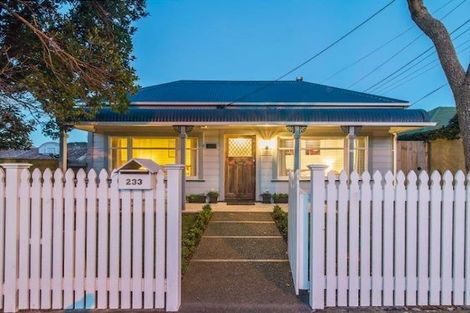Photo of property in 233 Rintoul Street, Berhampore, Wellington, 6023
