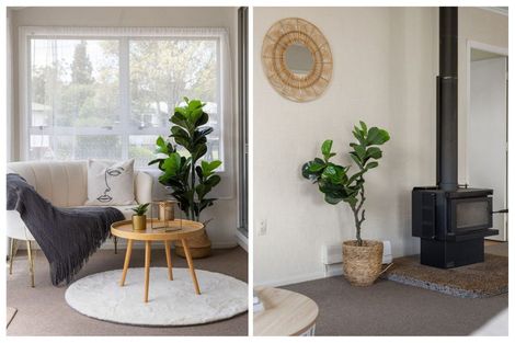 Photo of property in 22 Manapouri Place, Glenview, Hamilton, 3206