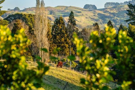 Photo of property in 36 Rapana Drive, Tuakau, 2121