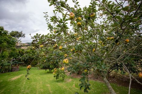 Photo of property in 41 Cory Road, Kaukapakapa, 0873