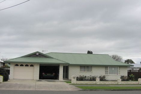 Photo of property in 71 Winchester Street, Levin, 5510