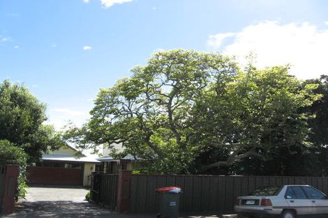 Photo of property in 31 Grove Street, The Wood, Nelson, 7010