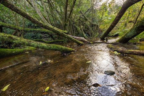 Photo of property in 76b Ainsworth Road, Minden, Tauranga, 3179