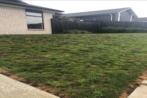 Photo of property in 21 Vercoe Crescent, Morrinsville, 3300