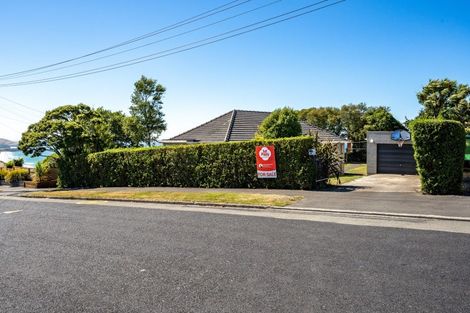 Photo of property in 9 Lock Street, Saint Clair, Dunedin, 9012