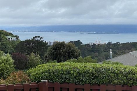 Photo of property in 29 Putnam Street, Northland, Wellington, 6012