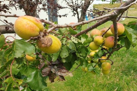 Photo of property in 1864 State Highway 1, Tuamarina, Blenheim, 7273