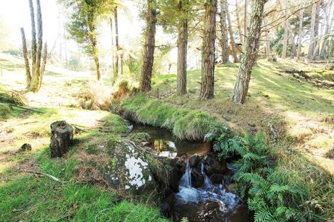 Photo of property in 397 Ruapuke Road, Raglan, 3296