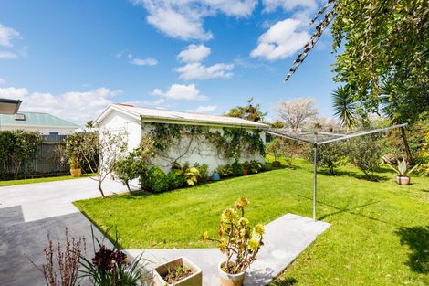 Photo of property in 67 Guy Avenue, Takaro, Palmerston North, 4410